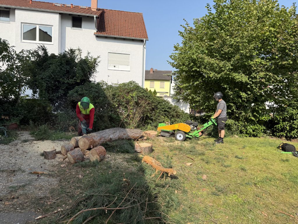 Fäll- und Fräßarbeiten